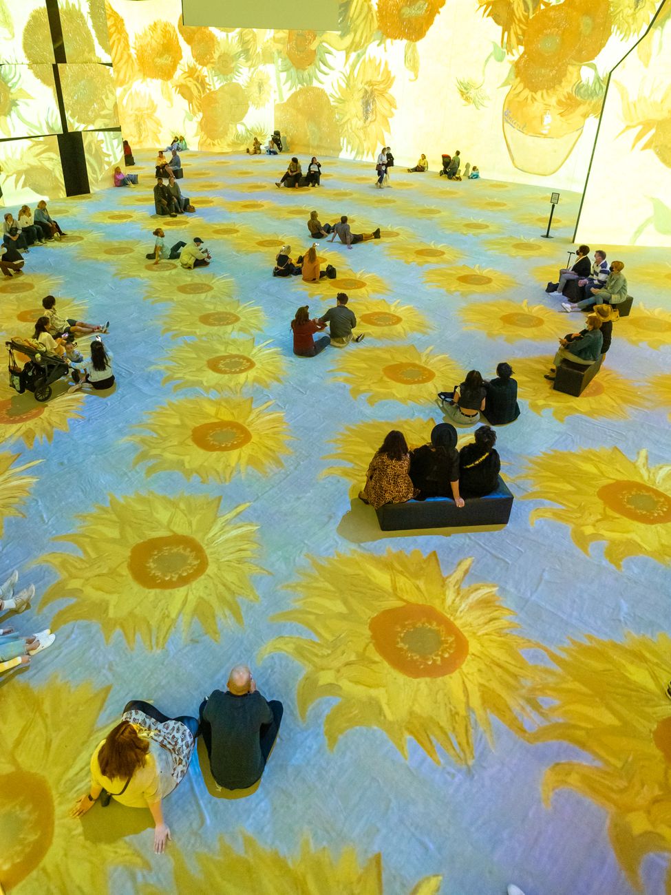 sunflowers